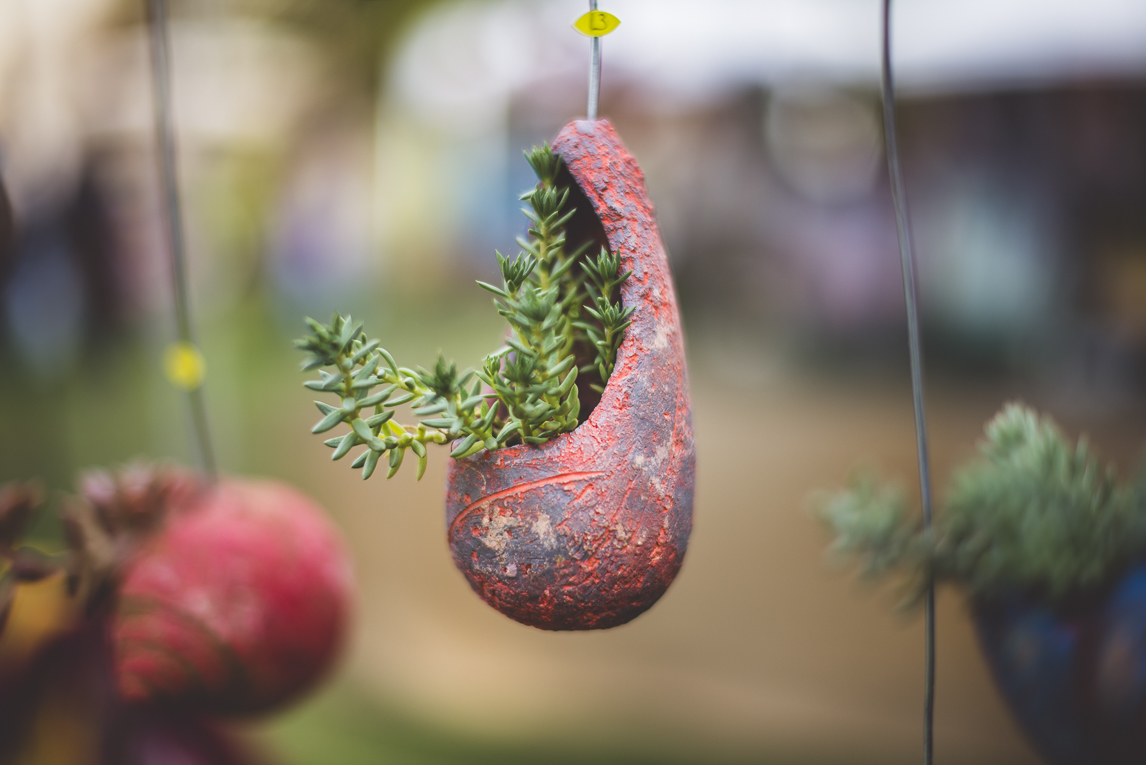 rozimages - photographie évènementielle - Expo Vente de Végétaux Rares 2015 - récipient sculpté et suspendu pour petites plantes succulentes - St Elix le Chateau, France
