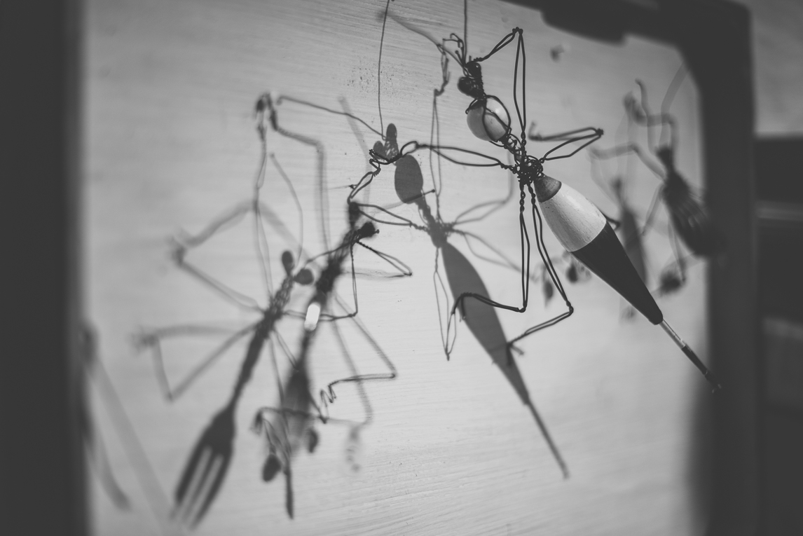 rozimages - photographie évènementielle - Salon des Arts et du Feu 2015 - insectes sculptés en fil de fer, et ombres - Martres-Tolosane, France
