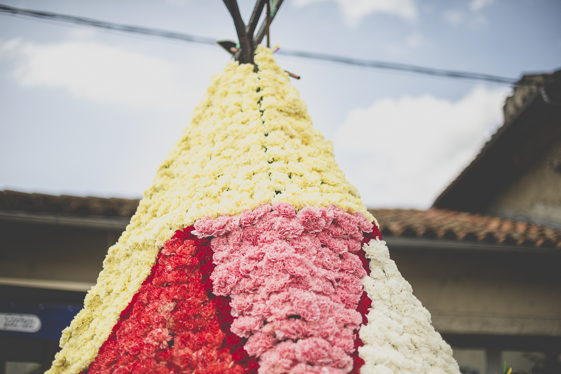 Fête des fleurs Cazères 2016 - statue en forme de tente faite de fleurs - Photographe évènementiel