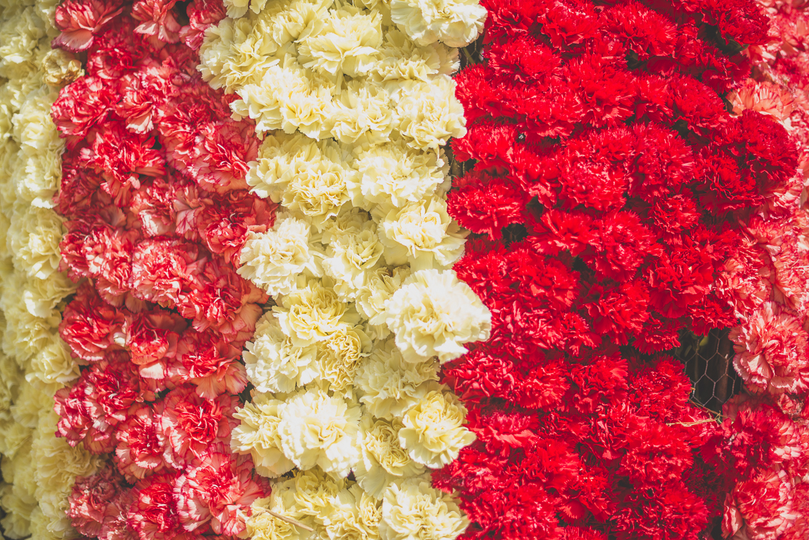 Fête des fleurs Cazères 2016 - char décoré avec des fleurs d'oeillets - Photographe évènementiel