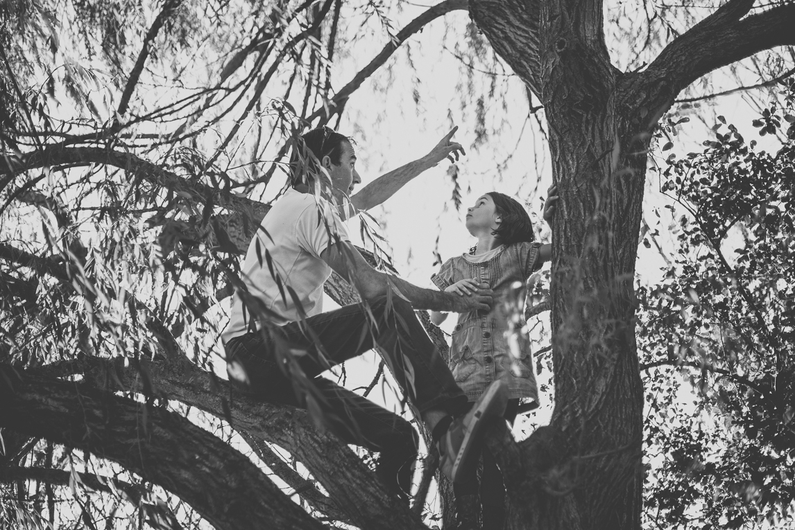 Séance photo en famille Ariège - papa et fille dans un arbre - Photographe famille