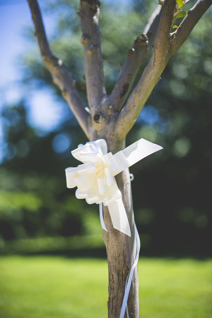 Wedding Photography French château - ribbon on tree - Wedding Photographer