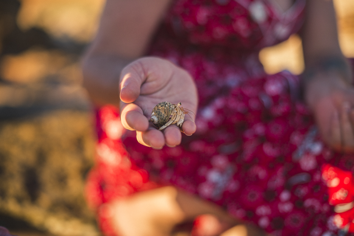 rozimages - family photography - beach session - hermit crab in hand - Reddell Beach, Broome, Australia