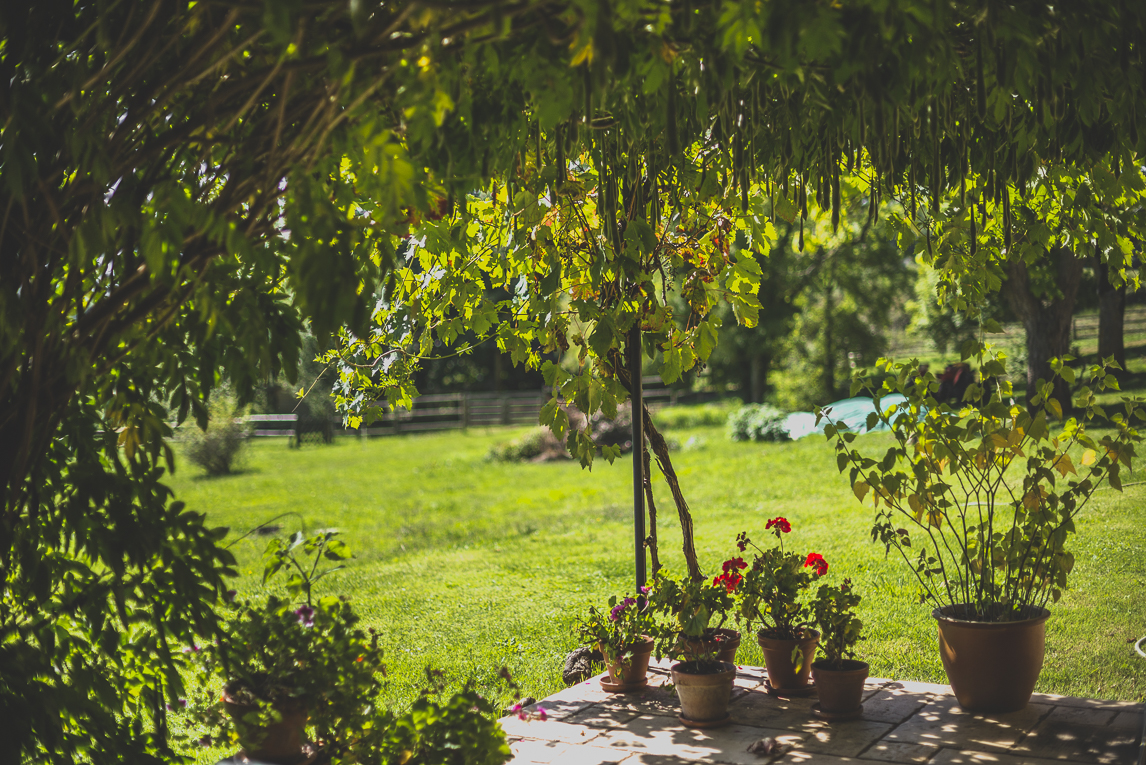 rozimages - travel photography - terrace with hanging wisteria, and garden in background - Mondavezan, France