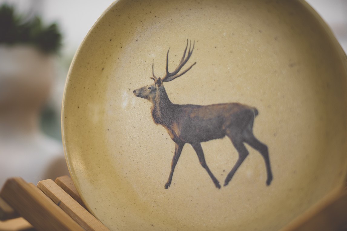 rozimages - photographie évènementielle - Salon des Arts et du Feu 2015 - assiette avec un cerf peint - Martres-Tolosane, France