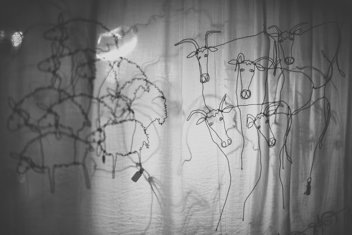 rozimages - Event photography - Salon des Arts et du Feu 2015 - wire sculpted animals and shadows - Martres-Tolosane, France