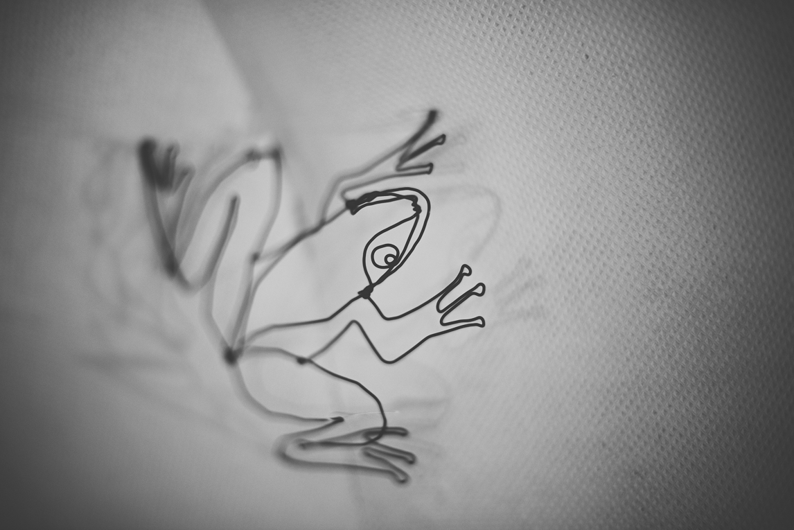rozimages - photographie évènementielle - Salon des Arts et du Feu 2015 - grenouille sculptée en fil de fer, et ombres - Martres-Tolosane, France