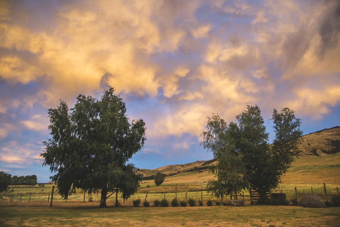 rozimages - commercial photography - bed and breakfast - Five Rivers Retreat B&B - field, trees and sky - Lumsden, New Zealand