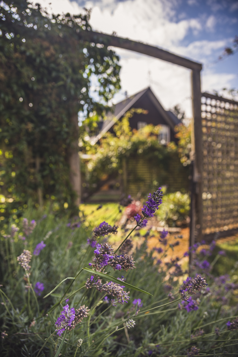 rozimages - commercial photography - bed and breakfast - Five Rivers Retreat B&B - garden and lavender - Lumsden, New Zealand