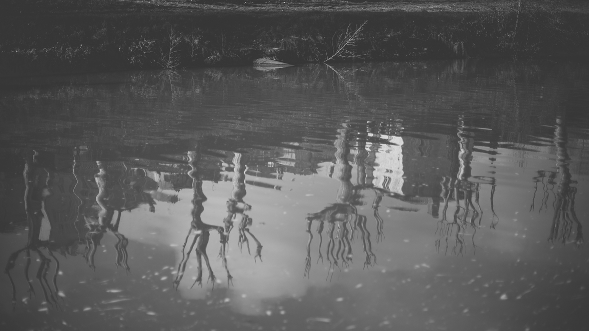 Photo of the French town of Auch - river - Auch Photographer