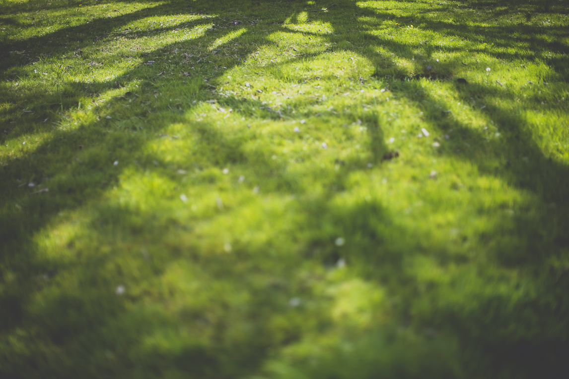 Photo of the French town of Saint-Gaudens - shadows on grass - Saint-Gaudens Photographer