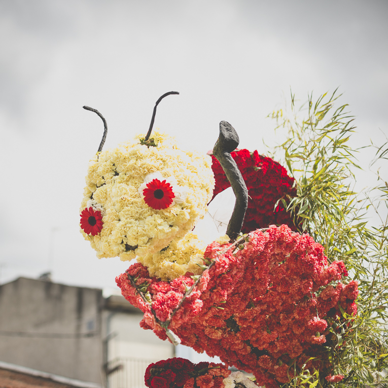 Fête des fleurs Cazères 2016 - statue de défilé faite de fleurs d'oeillets - Photographe évènementiel