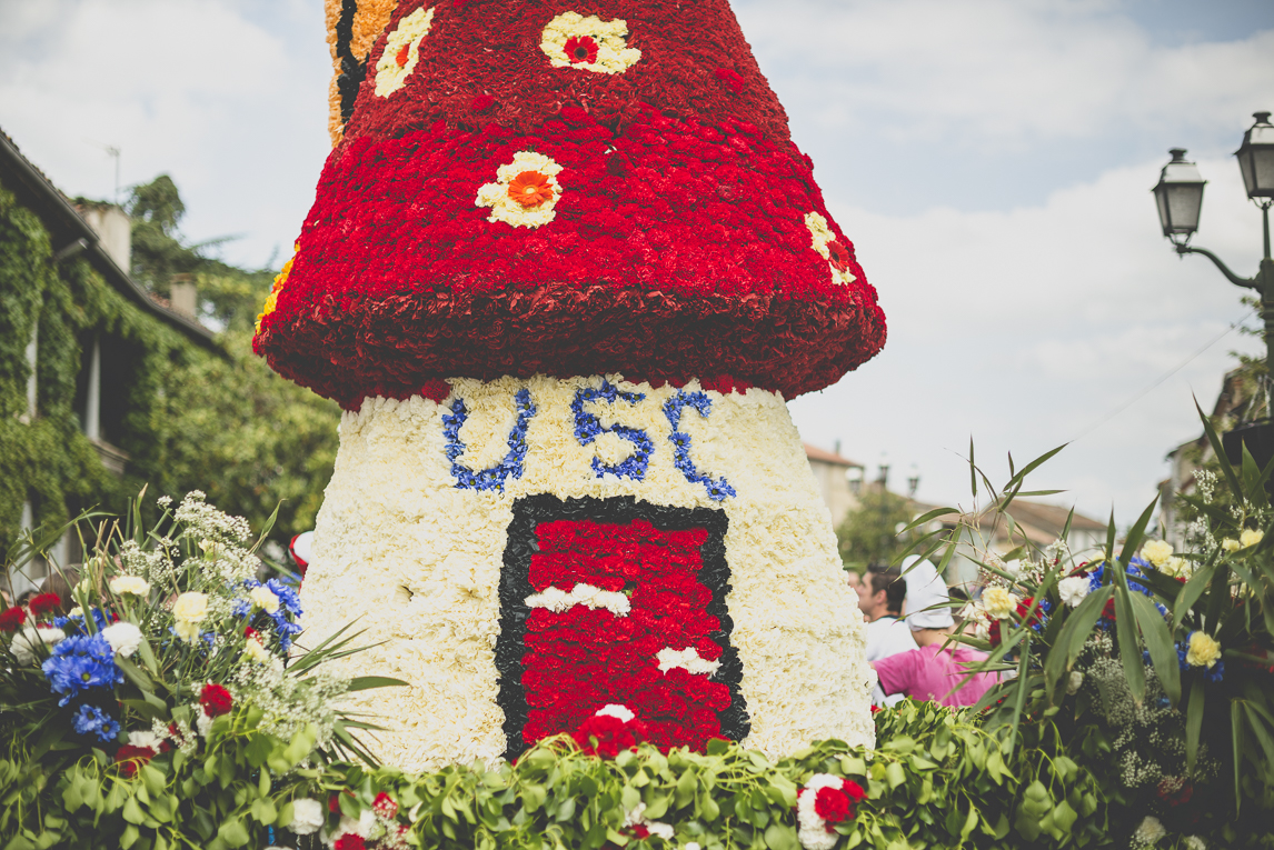 Fête des fleurs Cazères 2016 - statue en forme de champignon sur char décoré - Photographe évènementiel