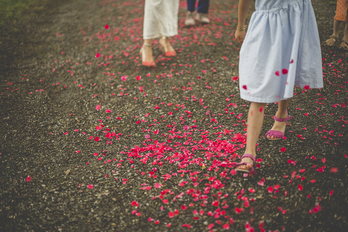 Reportage mariage Toulouse - pétales de roses sur chemin - Photographe mariage