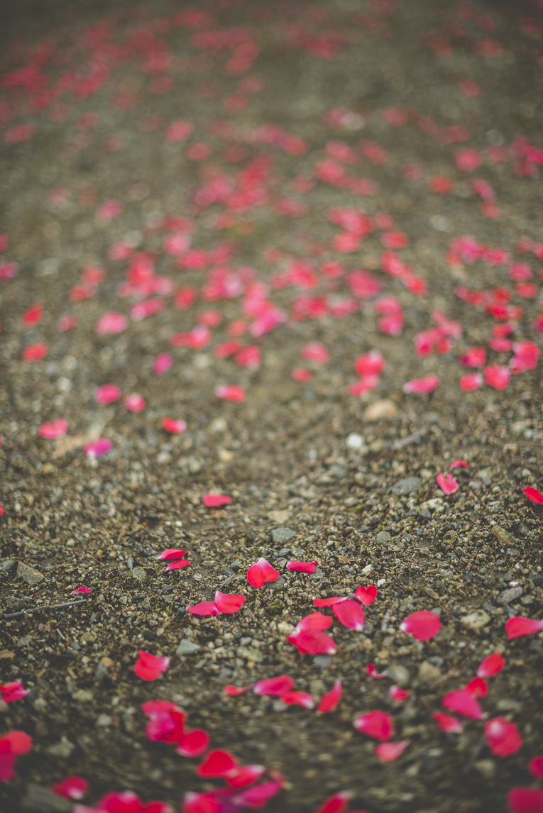 Reportage mariage Toulouse - pétales de roses sur chemin - Photographe mariage