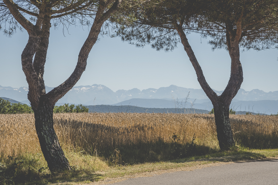 Reportage mariage Sud-Toulousain - vue sur les Pyrénées - Photographe mariage