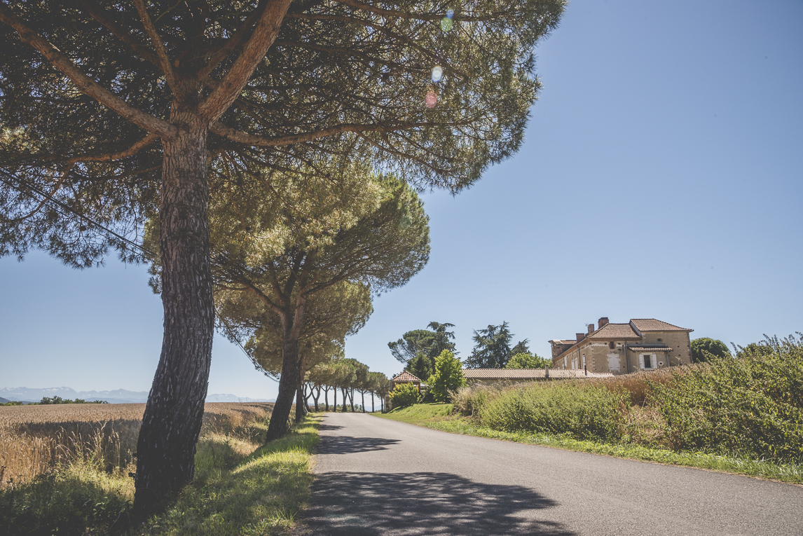 Reportage mariage Sud-Toulousain - domaine et route bordée d'arbres - Photographe mariage