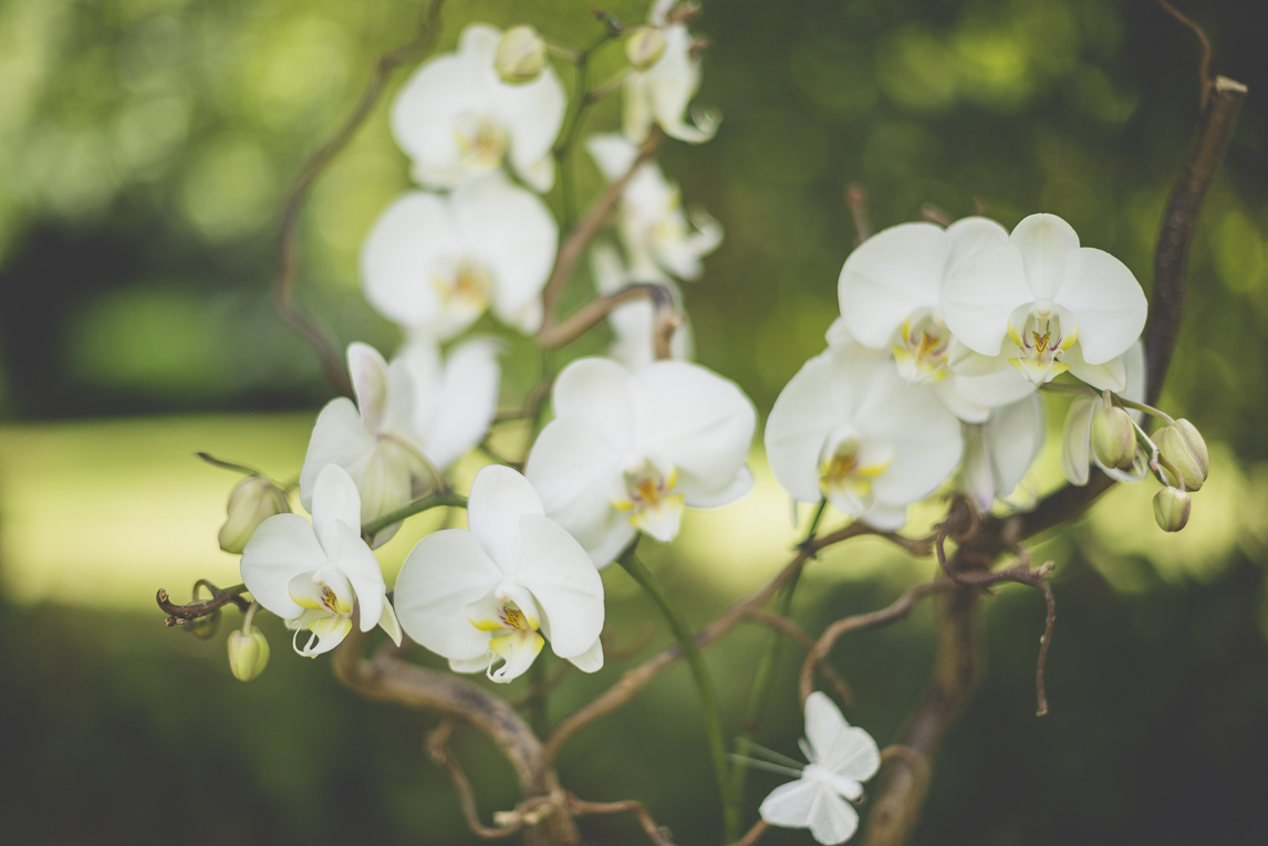 Reportage mariage Bretagne - orchidée décorant la cérémonie en extérieur - Photographe mariage