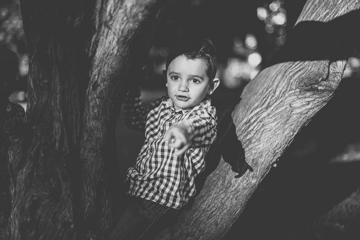 Séance photo famille - petit garçon dans un arbre - Photographe famille