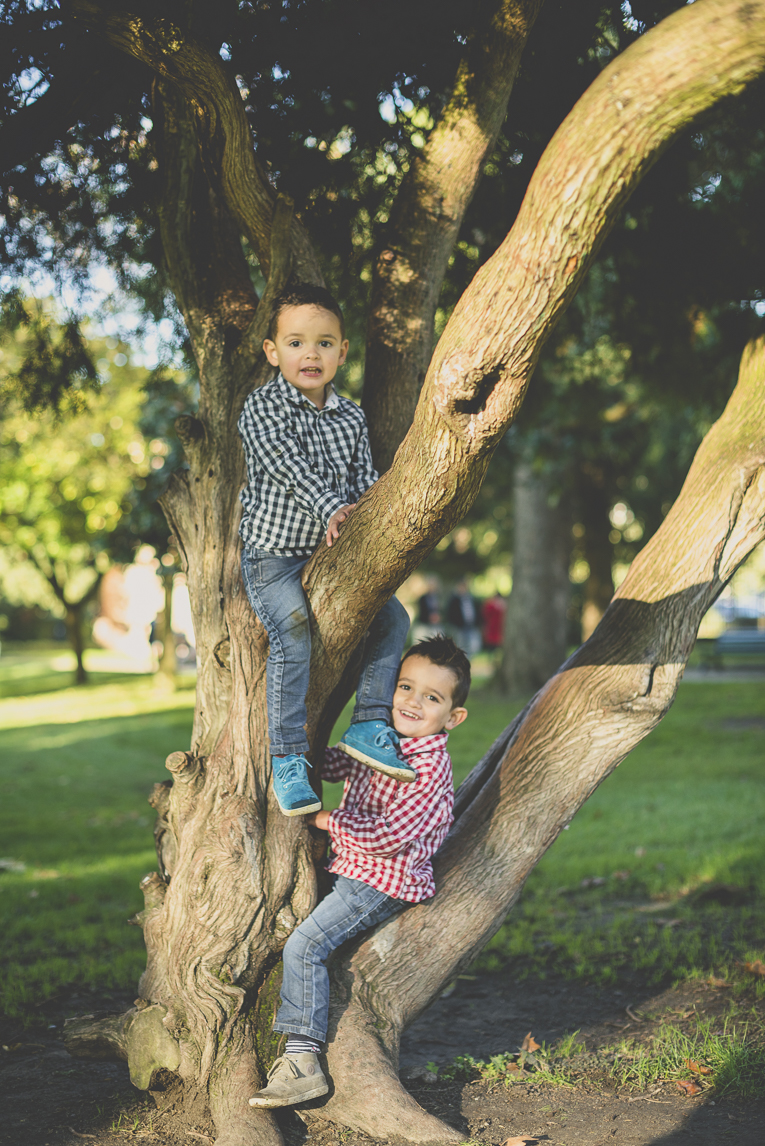 Séance photo famille - deux garçons dans un arbre - Photographe famille