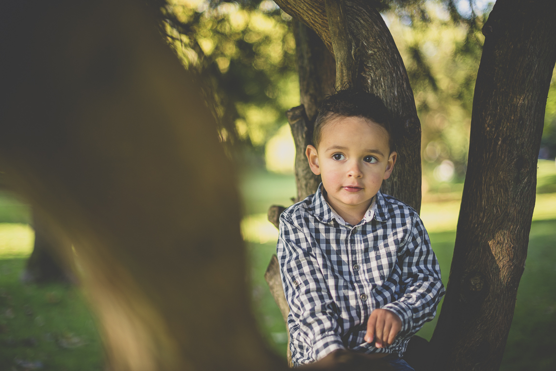 Séance photo famille - petit garçon dans un arbre - Photographe famille