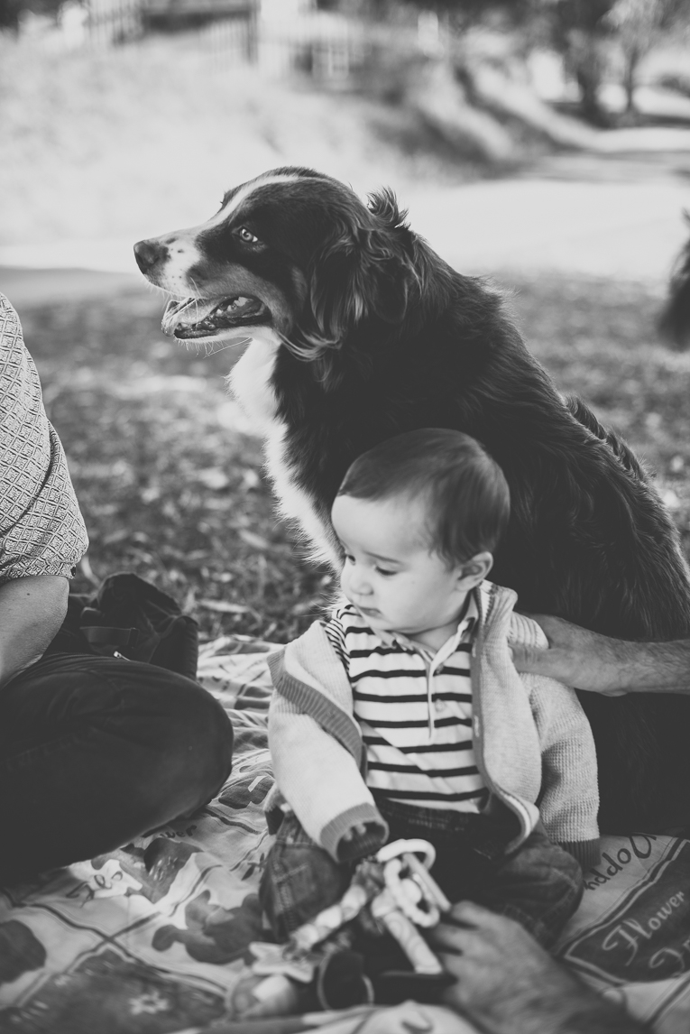 Séance photo en famille Ariège - chien et bébé - Photographe famille