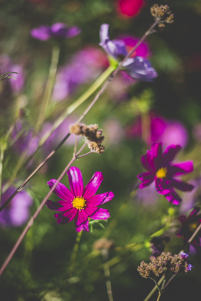 Mariage Toulouse - fleurs - Photographe mariage Toulouse