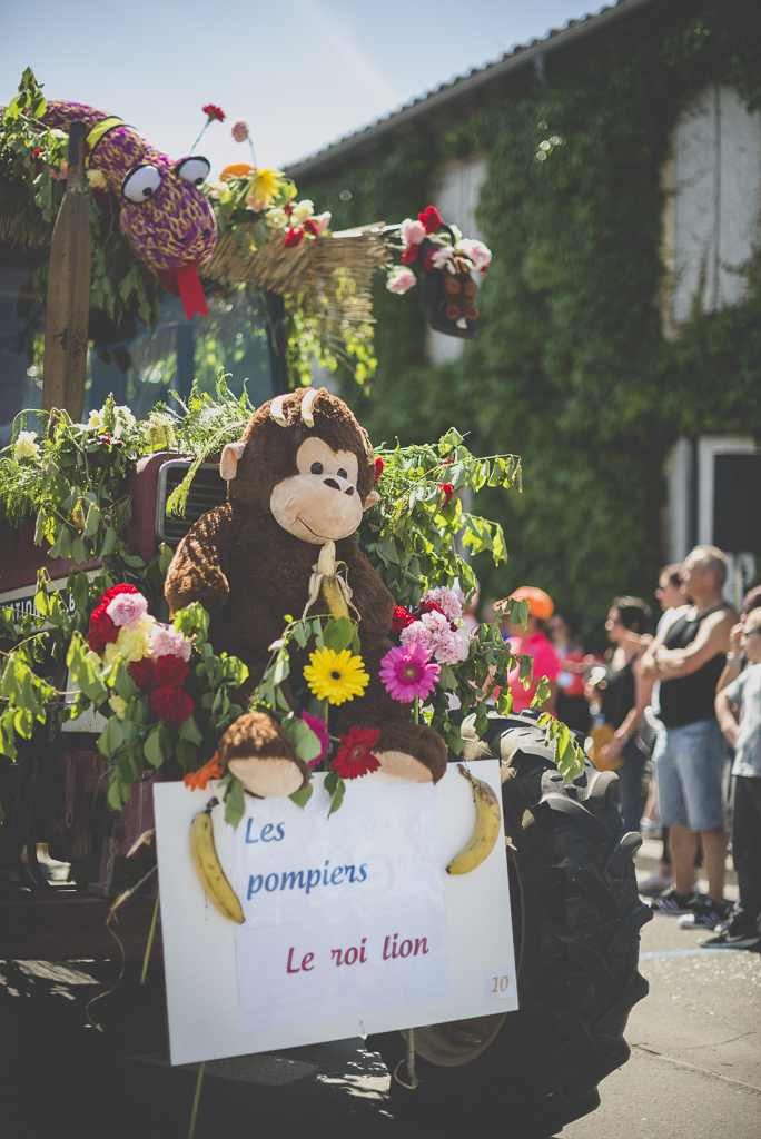 Fete des fleurs Cazeres 2018 - avant de char fleuri avec peluche - Photographe Haute-Garonne