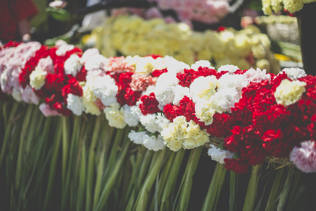 Fete des fleurs Cazeres 2018 - fleurs sur char fleuri - Photographe Haute-Garonne