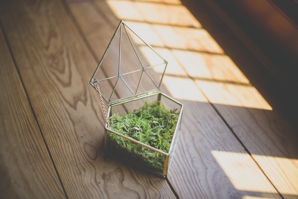 Reportage mariage Haute-Garonne - alliances dans boite en verre - Photographe mariage Saint-Gaudens