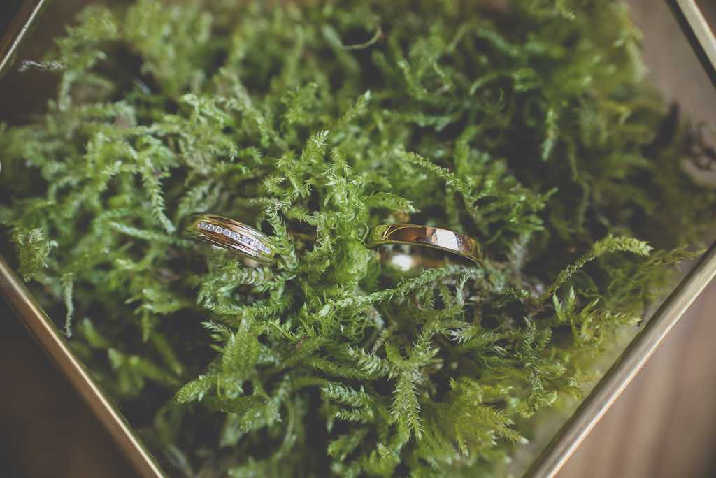 Reportage mariage Haute-Garonne - alliances dans boite avec mousse vegetale - Photographe mariage Saint-Gaudens