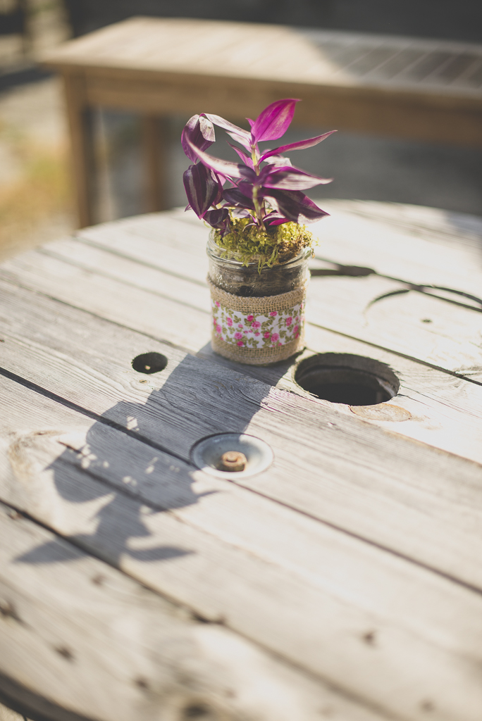 Wedding Photography Haute-Garonne - plante rose sur table basse - Wedding Photographer Saint-Gaudens