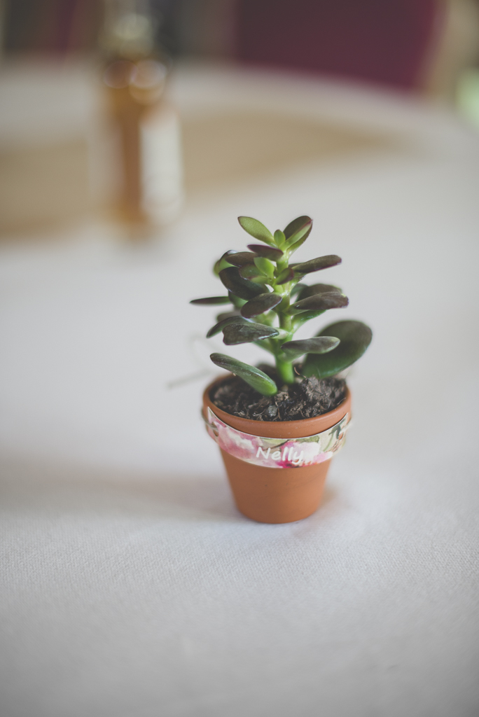 Reportage mariage Haute-Garonne - succulente en cadeau pour invités - Photographe mariage Saint-Gaudens