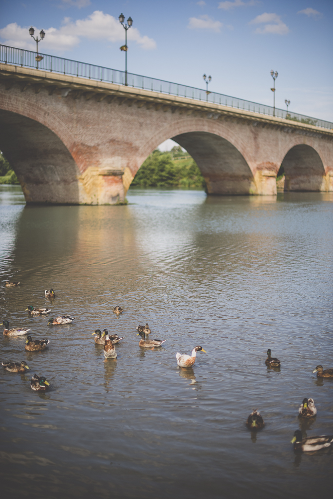 Séance famille Haute-Garonne - pont et canards sur la Garonne - Photographe famille Toulouse