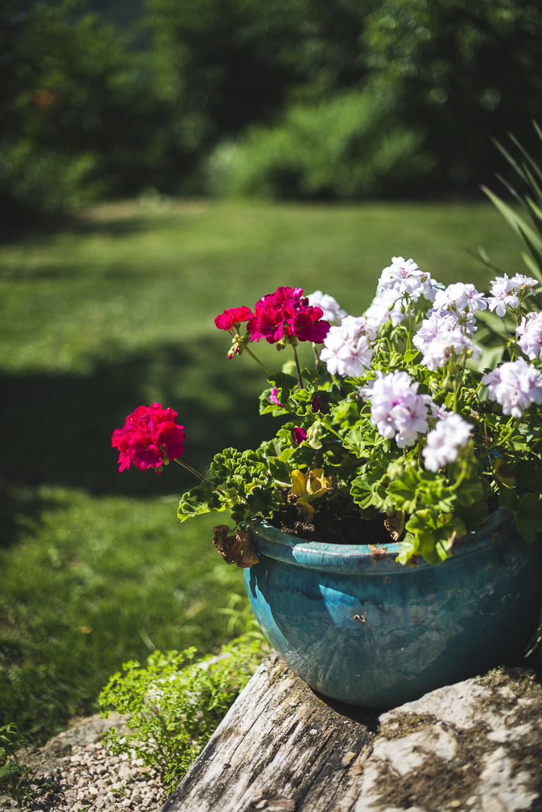 Séance photo chambres d'hôtes Ariège - geraniums - Photographe B&B