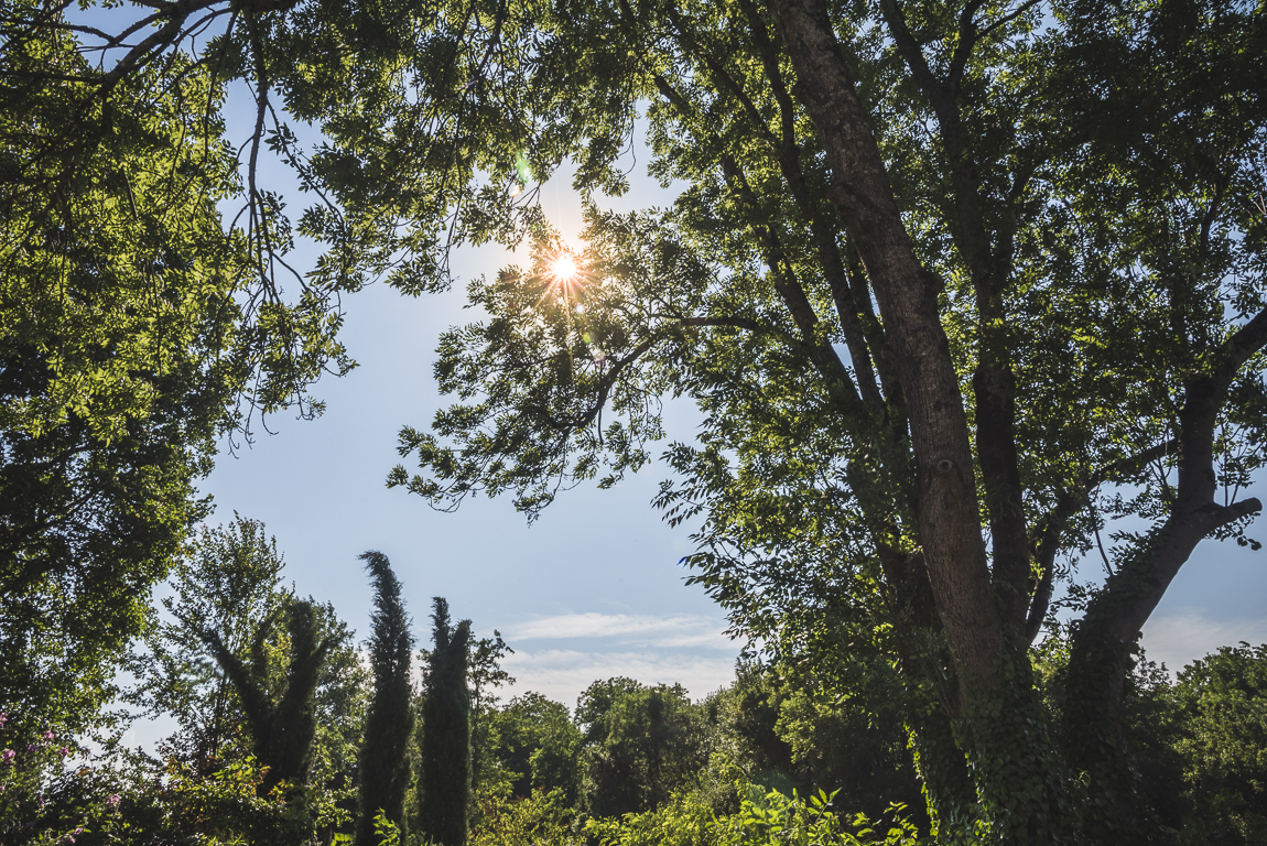 Séance photo chambres d'hôtes Ariège - jardin boisé et rayons du soleil - Photographe B&B