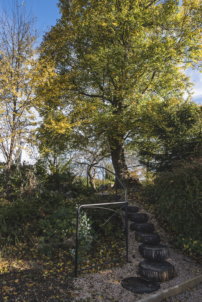 Photo-shoot B&B Ariège - escalier et arbre - Photographer B&B