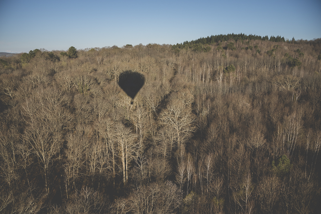 Photos vol montgolfière Haute-Garonne - ombre montgolfière sur forêt - Photographe Toulouse