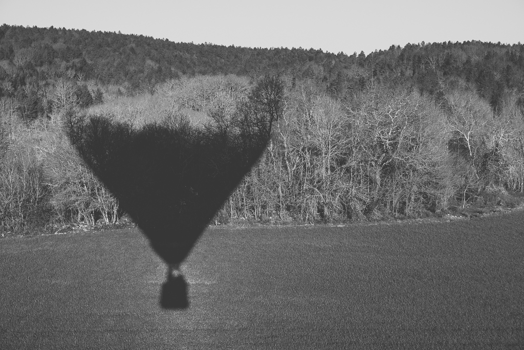 Photos vol montgolfière Haute-Garonne - ombre montgolfière sur forêt noir et blanc - Photographe Toulouse