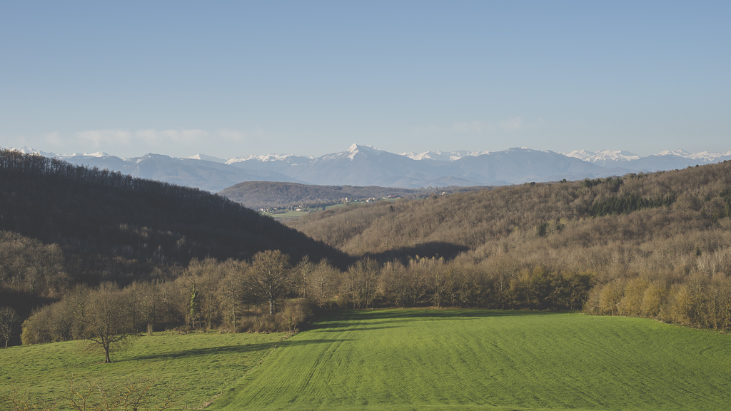 Photos vol montgolfière Haute-Garonne - champ et Pyrénées - Photographe Toulouse