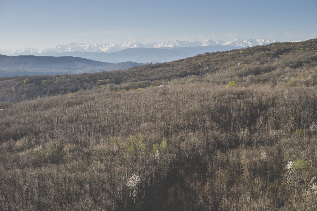 Photos vol montgolfière Haute-Garonne - forêt et Pyrénées - Photographe Toulouse