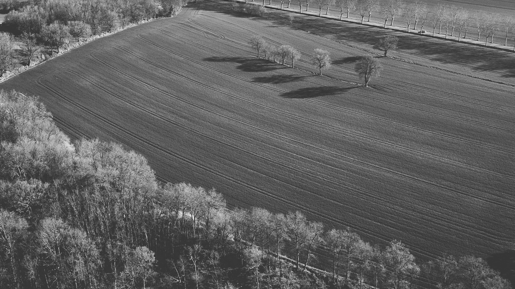 Photos vol montgolfière Haute-Garonne - champ noir et blanc - Photographe Toulouse