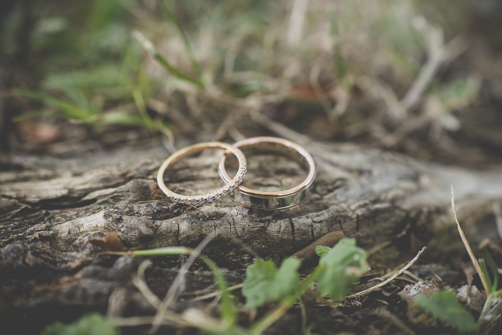 Reportage mariage automne Saint-Gaudens - alliances sur racine d'arbre - Photographe Saint-Gaudens