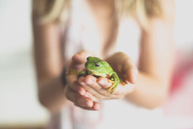 Séance photo famille à domicile - grenouille verte tenue dans les mains d'une fille - Photographe famille